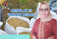 Ketua DPRD Mesuji Tolak Impor Beras