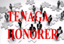 November 2023 Tenaga Honorer Dihapus, Dijamin Tak PHK Massal