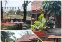 Kedai Kopi Backland di Gedongtataan, Nyeruput Kopi dengan Pemandangan Gunung dan Pesawahan