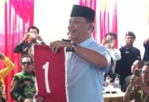 Aries: Saya Ikut Mengantarkan Dendi Jadi Bupati