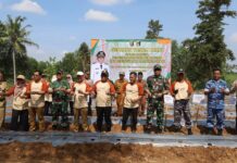 Pemerintah Provinsi Lampung Gelar Gerakan Tanam Cabai di Lampung Timur untuk Perkuat Ketahanan Pangan