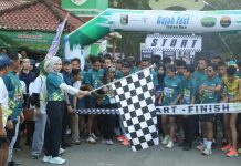 Semarak Gajah Fest Elefun Run 2025, Wagub Lampung Lepas Ribuan Peserta