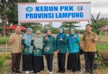 TP. PKK Provinsi Lampung Dorong Pemanfaatan Pekarangan Rumah untuk Ketahanan Pangan Keluarga