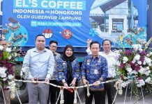 Kopi Bubuk Lampung Resmi Tembus Ekspor, Tandai Babak Baru Hilirisasi