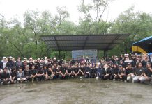 Meski Diguyur Hujan, Tangan Lampung Berhasil Tanam 5.000 Mangrove di Pulau Pasaran