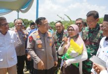 Polda Lampung Kick Off Penyaluran Beras Serentak, Jamin Keterjangkauan Pangan