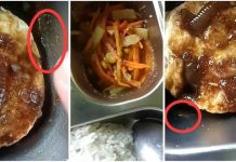 Heboh Temuan Belatung pada Telor Ceplok MBG di SDN 1 Karang Agung Tanggamus