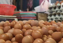 Harga Pangan Mahal dan Langka, Warga Curiga ini Terdampak Proyek MBG