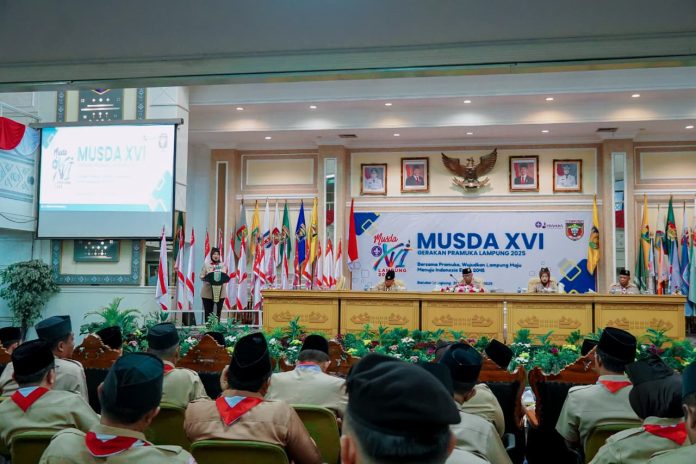 WhatsApp Image 2025-10-27 at 20.10.38