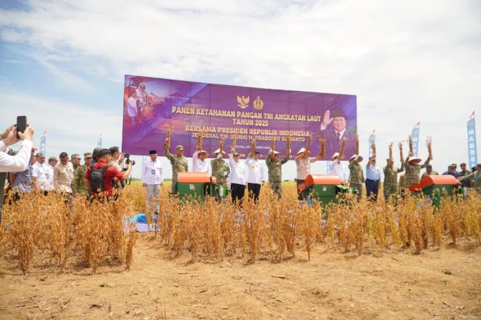 WhatsApp Image 2025-10-29 at 14.21.37