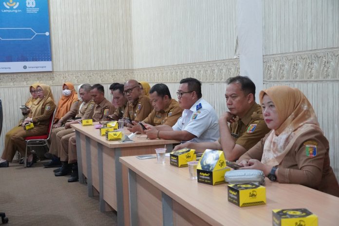 WhatsApp Image 2025-11-04 at 12.17.51