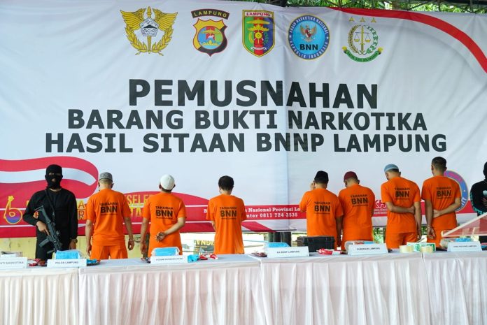 WhatsApp Image 2025-11-18 at 11.03.51