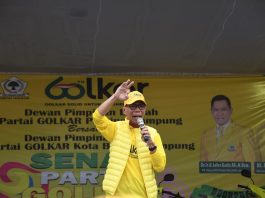 Dugaan Pembalakan Liar di Pesibar, Ismet Roni Desak Pemprov dan Polda Tindaklanjuti