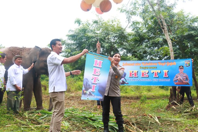 IMG-20251209-WA0002(1)