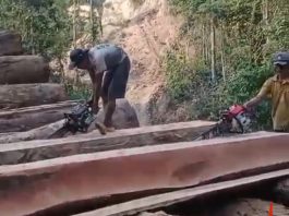 Kasus Dugaan Ilegal Logging di Pesisir Barat, Polda Lampung Amankan 3 Orang