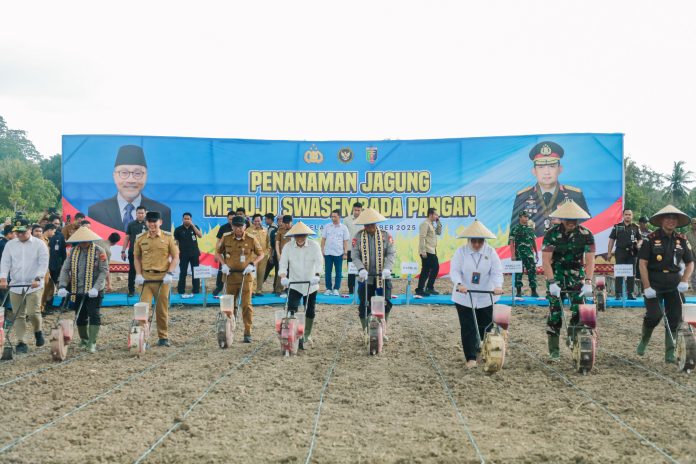 WhatsApp Image 2025-12-03 at 05.51.09