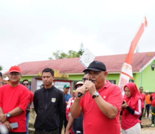HUT Kampung Suko Binangun ke-66, Plt. Bupati Lamteng Lepas Jalan Sehat