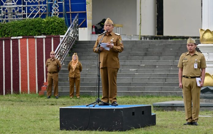 WhatsApp Image 2026-01-19 at 11.32.49