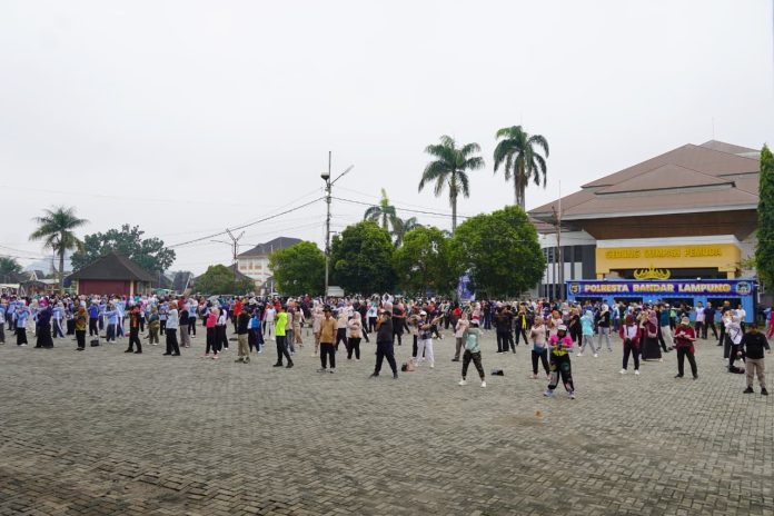 WhatsApp Image 2026-02-13 at 14.15.12