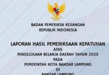 Dosen HTN FH Unila Minta Kejati-Polda Lampung Sikapi LHP BPK 2025 Soal Pengangkatan 85 PTK Khusus Pemkot Bandarlampung