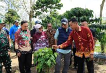 PHC Ubah Wajah Perkebunan Kopi Lampung, Gubernur Mirza Dorong Produktivitas Kopi Meningkat